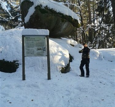 Elefantentreffen 2017 - Bild 10