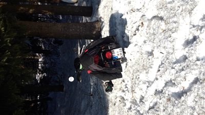 Elefantentreffen 2017 - Bild 4