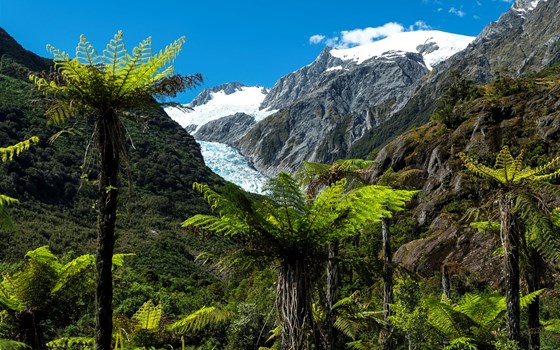 Neuseeland Adventure Tour 2025 - Bild 5