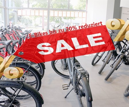 Top Sale E-Bikes HNF-Nicolai
