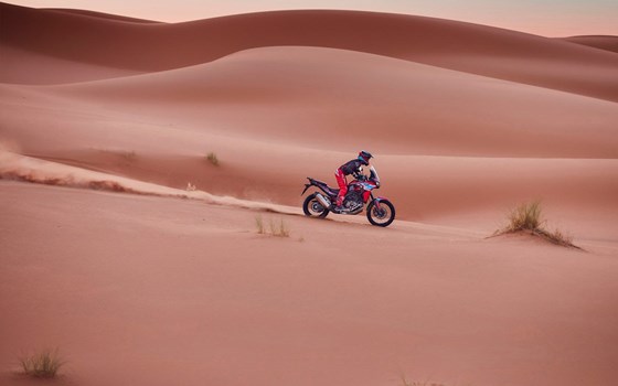 Honda Semmler - CRF1100L Africa Twin 2024 - Bild 3