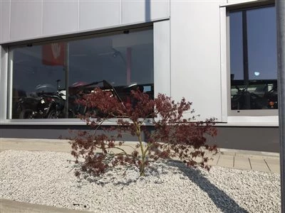 Honda Semmler - Außenanlage fertig ! Bild 5: Honda Semmler - Außenanlage fertig !