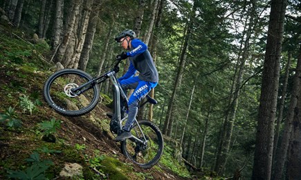 Limitiertes Sondermodell des MORO 07 zur Feier von 30 Jahren Yamaha eBikes