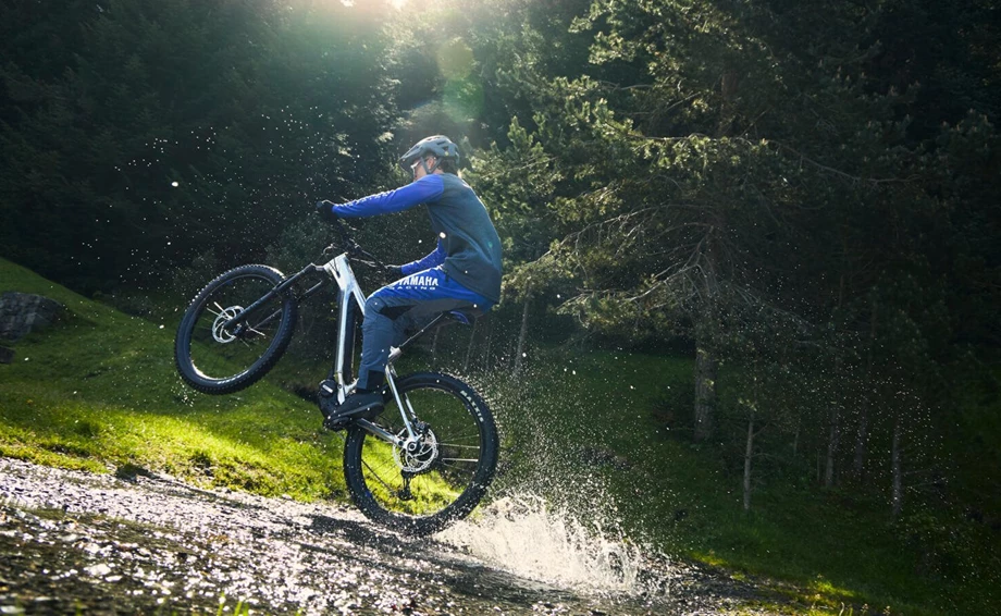 Limitiertes Sondermodell des MORO 07 zur Feier von 30 Jahren Yamaha eBikes Bild 7: Limitiertes Sondermodell des MORO 07 zur Feier von 30 Jahren Yamaha eBikes
