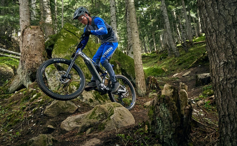 Limitiertes Sondermodell des MORO 07 zur Feier von 30 Jahren Yamaha eBikes Bild 8: Limitiertes Sondermodell des MORO 07 zur Feier von 30 Jahren Yamaha eBikes
