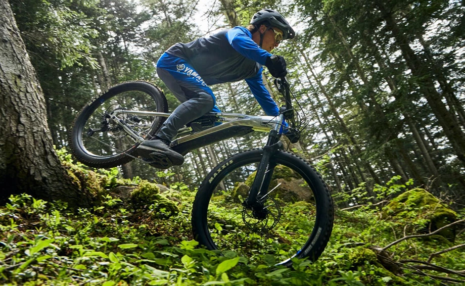 Limitiertes Sondermodell des MORO 07 zur Feier von 30 Jahren Yamaha eBikes Bild 9: Limitiertes Sondermodell des MORO 07 zur Feier von 30 Jahren Yamaha eBikes