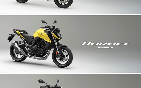 NEU!!! 2024 HONDA CB1000 HORNET - Bild 3