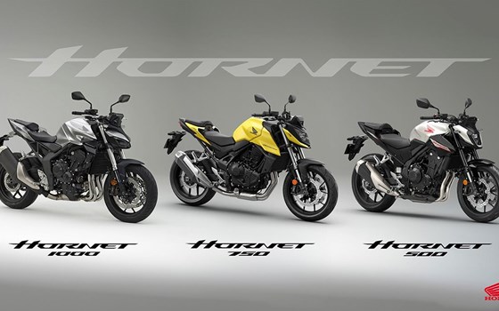 Honda Hornet 2024 - Bild 1