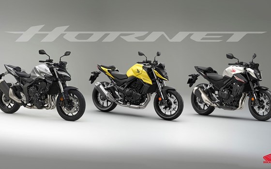 Honda Hornet CB1000 Modell 2024 - Bild 3