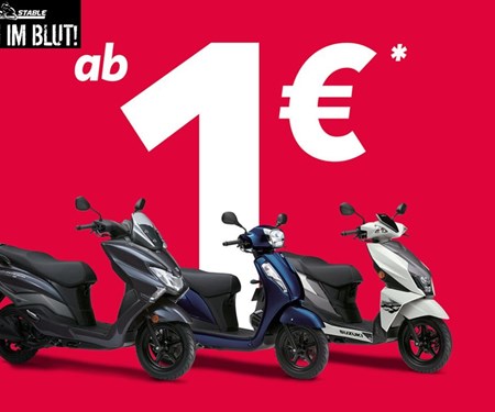 NEWSLETTER NOVEMBER 2023/01