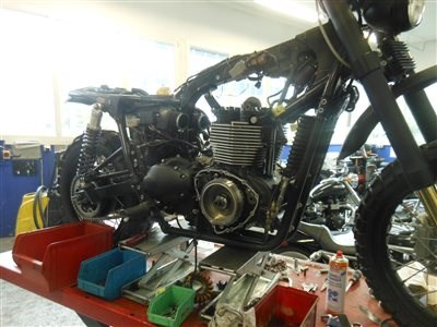 BONNEVILLE RADIKAL UMBAU - Bild 2