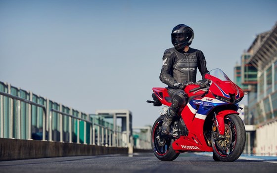 HONDA CBR600RR, Modelljahrgang 2024 - Bild 5