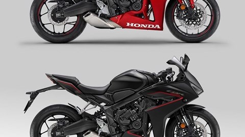 Honda Semmler - 2024er Honda CBR 650 R