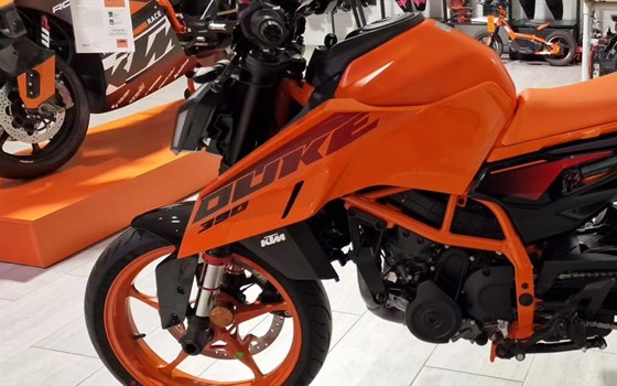 Saisonabschluss 2023 - Ein voller Erfolg! - Bild 5