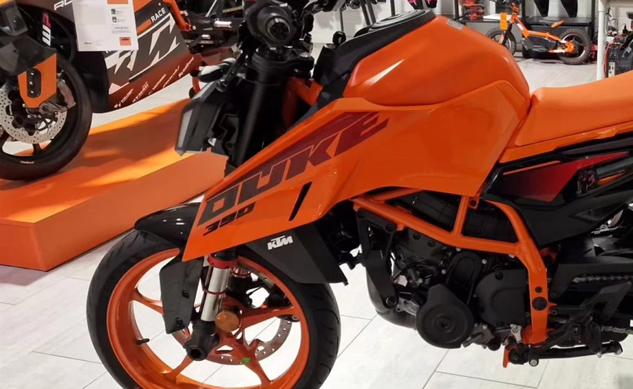 Saisonabschluss 2023 - Ein voller Erfolg! Bild 5: Saisonabschluss 2023 - Ein voller Erfolg!