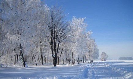 EINWINTERN - ABER RICHTIG