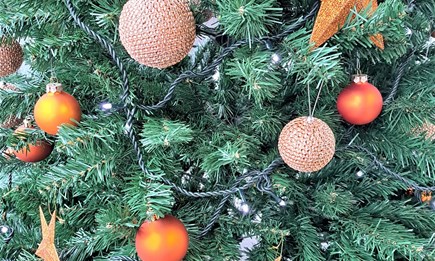 8. Dezember - Maria Empfängnis