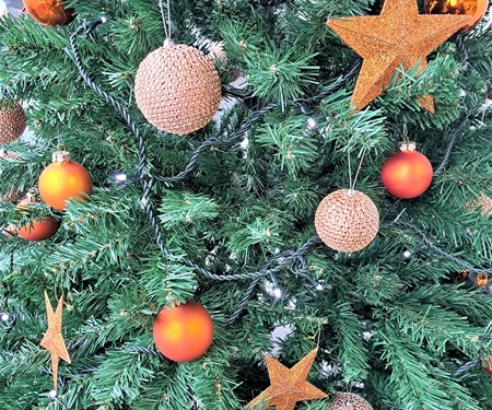 8. Dezember - Maria Empfängnis