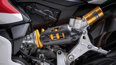 DUCATI 1299 Panigale R Final Edition - Bild 8