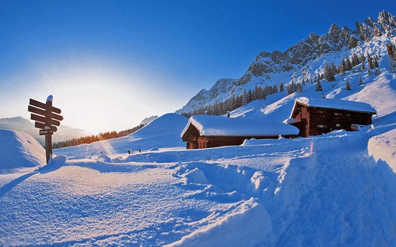 Betriebsurlaub  - Bild 2