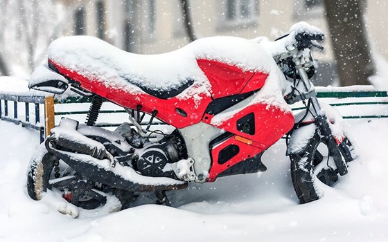 NEWSLETTER SEPTEMBER 2023/02 - Bild 6