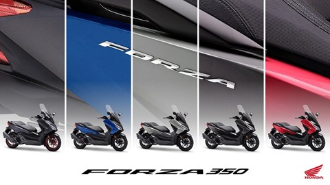 Neue Farben für ADV350, Forza 125, Forza 350, Modelljahr 2024
