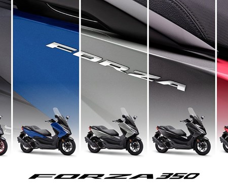 Neue Farben für ADV350, Forza 125, Forza 350, Modelljahr 2024