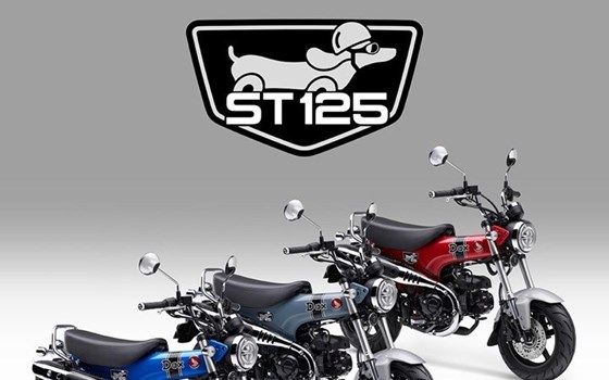 Kosmetik-Updates für 2024er Honda CB125F und Dax - Bild 3