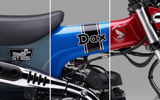Kosmetik-Updates für 2024er Honda CB125F und Dax - Bild 7