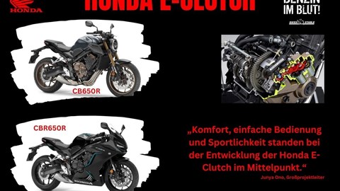 NEWSLETTER Februar 2024/01