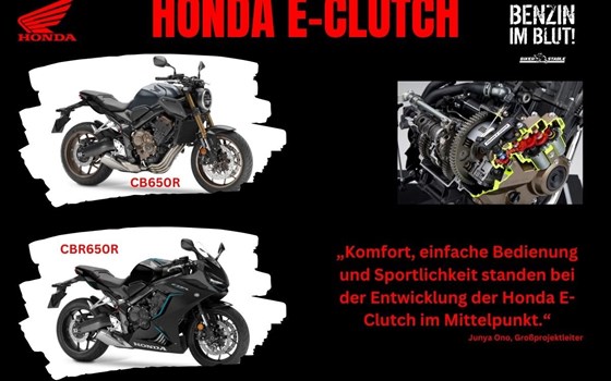 NEWSLETTER Februar 2024/01 - Bild 1