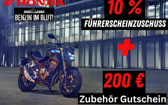 NEWSLETTER Februar 2024/01 - Bild 2