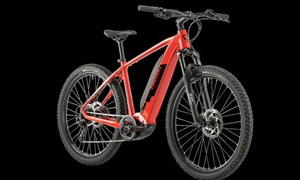 Die ersten E-Bikes sind eingetroffen!