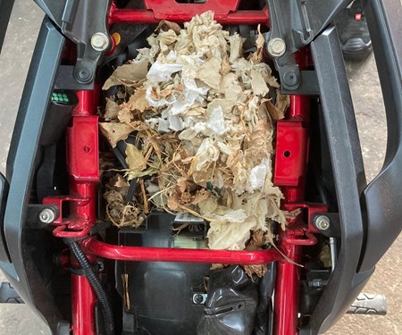 Update: Die Wunder der Natur und andere Kuriositäten