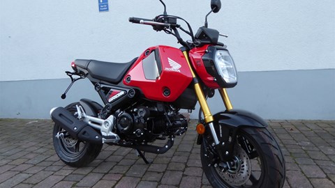 Honda MSX125 Blinkerumbau Kellermann, Motorschutzpads und Achsschutzpads