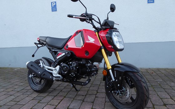Honda MSX125 Blinkerumbau Kellermann, Motorschutzpads und Achsschutzpads - Bild 1