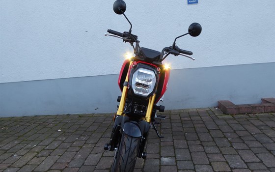Honda MSX125 Blinkerumbau Kellermann, Motorschutzpads und Achsschutzpads - Bild 2