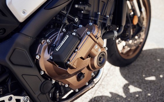 Modell 2024: CB650R  in Matt Laurel Green Metallic Matt Laurel Green Metallic - Bild 13