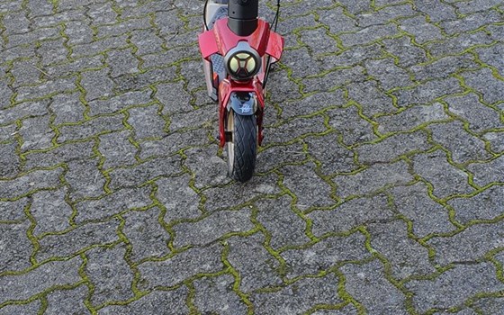 E-Scooter Rapido Serie ORO bei uns eingetroffen Preis 999€ incl MwsT - Bild 10