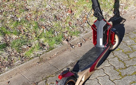 E-Scooter Rapido Serie ORO bei uns eingetroffen Preis 999€ incl MwsT - Bild 3