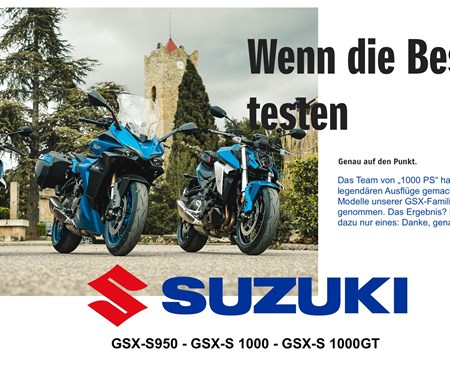 Kaufberatung GSX-S 1000PS