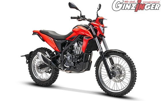 Beta Alp 4.0 nun bei Ginzinger erhältlich !  - Bild 1