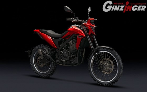 Beta Alp 4.0 nun bei Ginzinger erhältlich !  - Bild 3