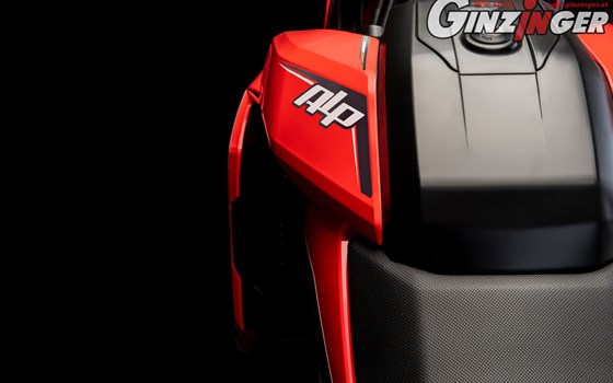 Beta Alp 4.0 nun bei Ginzinger erhältlich !  - Bild 4