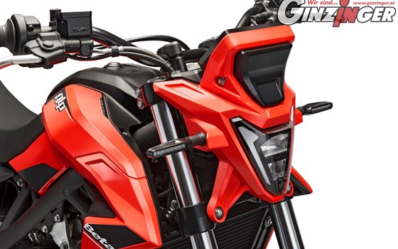 Beta Alp 4.0 nun bei Ginzinger erhältlich !  - Bild 7