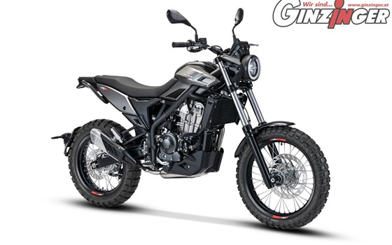 Beta Alp 4.0 nun bei Ginzinger erhältlich !  - Bild 8