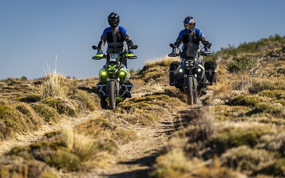 Hilft gegen Antriebsstörungen - Bild 1