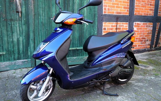 Neue Gebrauchtfahrzeuge: CB 1300, CB 500, Cygnus X 125 - Bild 3