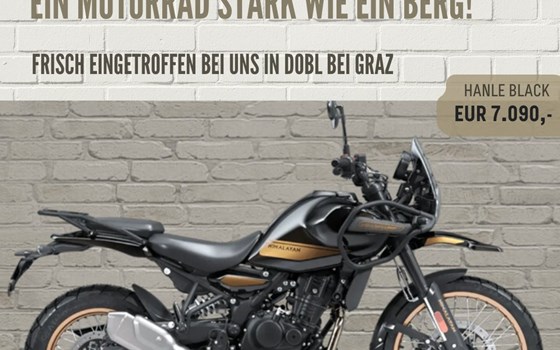 Himalayan 452 - Bild 1