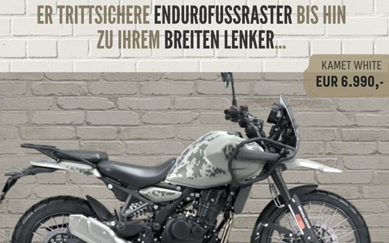 Himalayan 452 - Bild 2